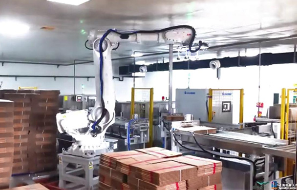 包装行业开箱机自动上箱系统